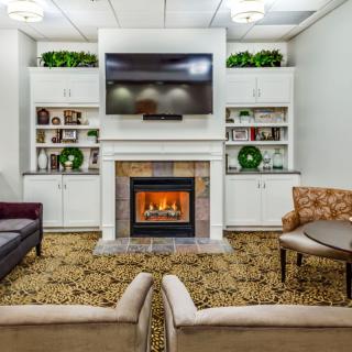 A cozy living room featuring a fireplace and television, surrounded by comfortable seating and decorative shelves with plants.