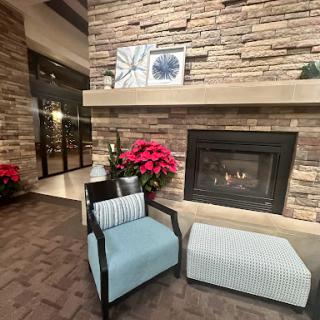 A cozy lounge area featuring a fireplace, modern furniture, and decorative plants.