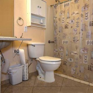 A clean and organized bathroom with a toilet, sink, and shower curtain.
