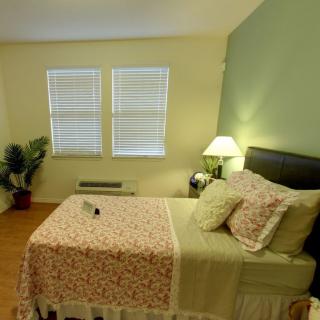 A cozy bedroom with a single bed, lamp, and potted plant.