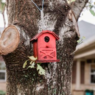A red birdhouse hanging on a tree in a residential backyard.