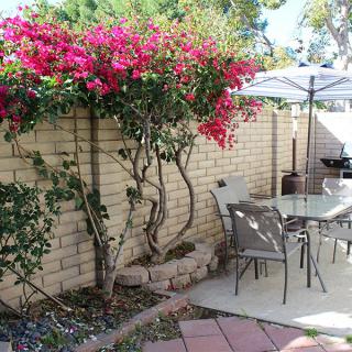 A cozy outdoor patio with a table, chairs, and vibrant bougainvillea flowers along a brick wall.