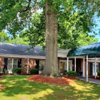 A charming house surrounded by lush greenery and a large tree.