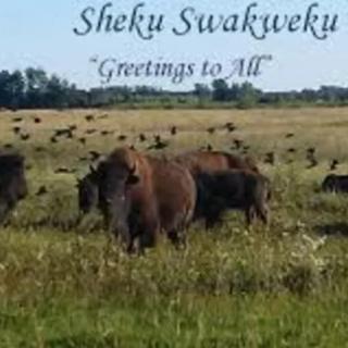 Bison grazing in a field with a greeting: 'Sheku Swakweku - Greetings to All'.