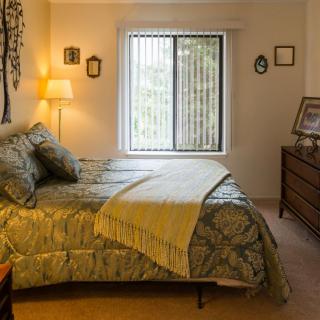 A cozy bedroom with a neatly made bed, bedside lamp, and a large window.