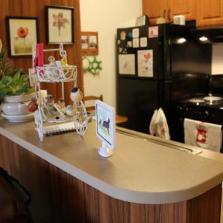 A cozy kitchen with a modern countertop and various decorative elements.