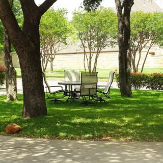 A peaceful outdoor seating area with trees providing shade over a table and chairs on a grassy lawn.