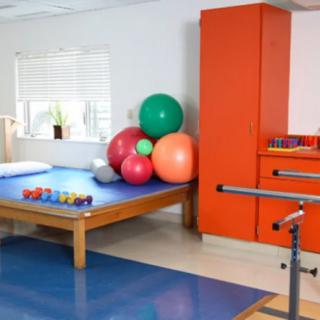 A well-equipped physical therapy room featuring exercise balls and parallel bars.