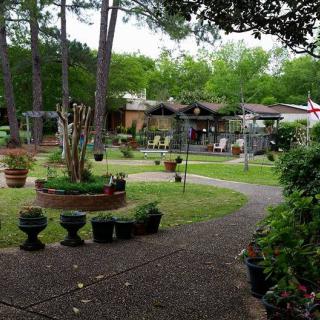 A serene garden with a winding pathway leading to a house, surrounded by lush greenery and potted plants.