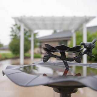 A decorative bird bath captures raindrops in a serene garden setting.