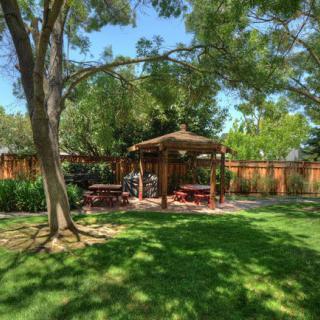 A peaceful garden setting with a gazebo and picnic tables under the shade of tall trees.