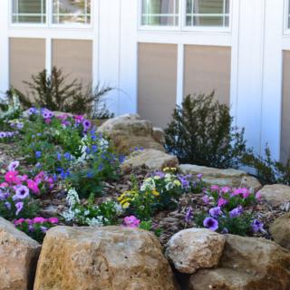 A beautifully landscaped garden with colorful flowers and large rocks.