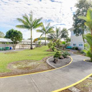 A serene outdoor space featuring a winding pathway surrounded by lush greenery and palm trees.