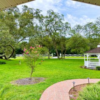 A serene garden with a gazebo surrounded by lush greenery and trees.