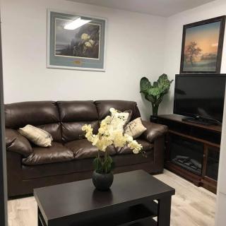 A cozy living room with a leather sofa, television, decorative plants, and framed art on the walls.