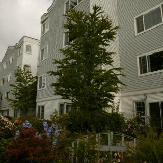 The Winslow Manor