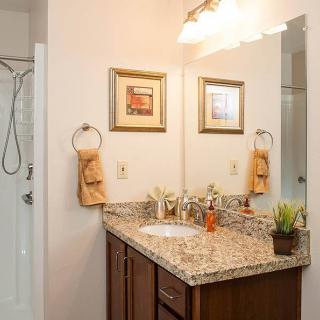 A well-lit bathroom vanity with granite countertops, complete with a mirror and decorative accents.