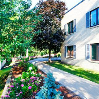 A serene pathway lined with colorful flowers and trees, leading to a modern building.
