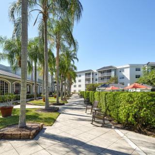 A sunny pathway lined with palm trees leading to residential apartments.