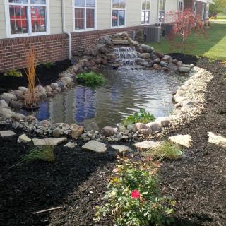 A beautifully landscaped garden pond with rocks and plants surrounding it, nestled beside a building.