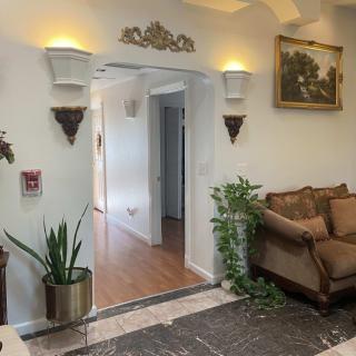 A cozy living room with elegant decor and indoor plants leading to a hallway.