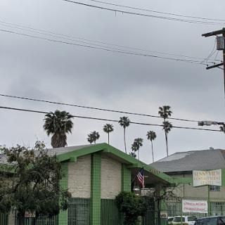 A cloudy day in an urban setting featuring palm trees and colorful buildings.