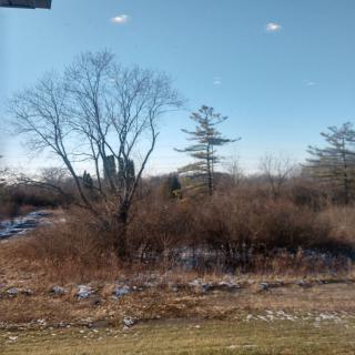 A tranquil winter landscape with leafless trees under a clear blue sky.