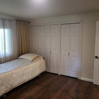 A cozy bedroom with a single bed, large closet, and hardwood flooring.