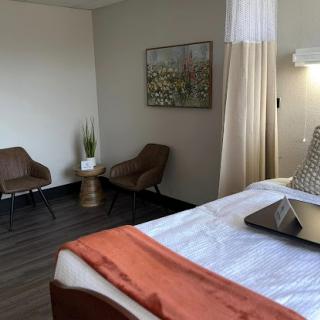 A stylish hotel room featuring modern furniture and a cozy ambiance.