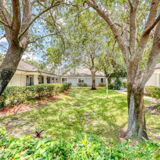 A serene courtyard with lush greenery and trees shading a building under bright sunlight.