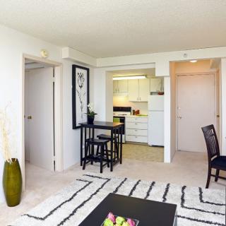 A modern apartment interior featuring a cozy living room and an open kitchen layout.