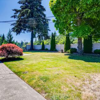 A sunny garden featuring a well-maintained lawn and various trees.