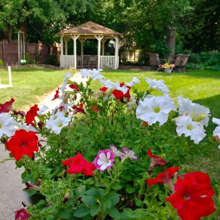 A vibrant garden with colorful flowers and a gazebo in the background.
