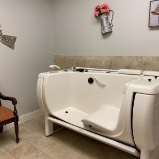An accessible bathtub in a stylish bathroom with decorative elements.