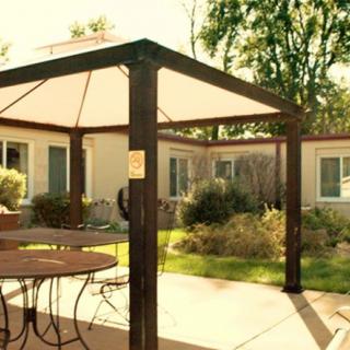 A sunny outdoor patio area with a pergola, surrounded by a garden and trees.