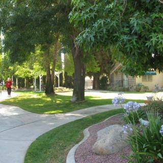 A serene pathway lined with trees and flowers, perfect for a relaxing walk.