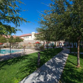 A peaceful outdoor area with a swimming pool, surrounded by trees and a pathway beside a building.