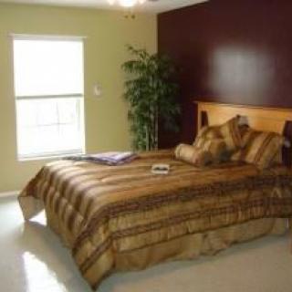 A cozy bedroom with a large bed, plant, and natural light from the window.