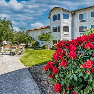A well-maintained garden with red flowers and a pathway leading to a residential building.