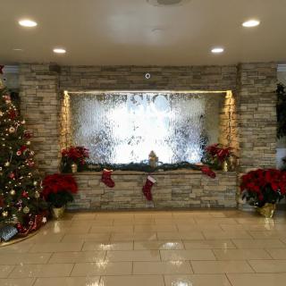 Festive indoor Christmas decorations with a tree, poinsettias, and stockings.