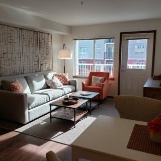 A cozy living room filled with natural light, featuring a sofa and armchair around a coffee table.