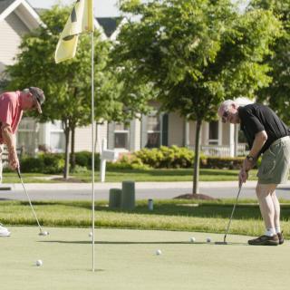 Two golfers on a putting green practicing their shots on a sunny day.