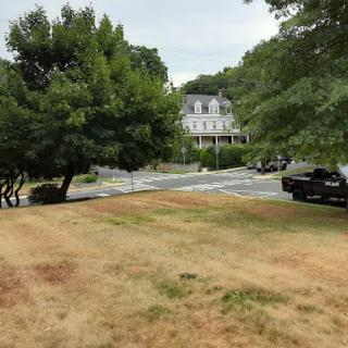 A view of a residential area featuring a house, trees, and a vehicle parked near the street.