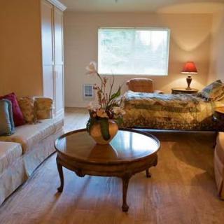A cozy and well-decorated bedroom featuring a bed, sofa, and coffee table with a decorative plant, illuminated by a bedside lamp.