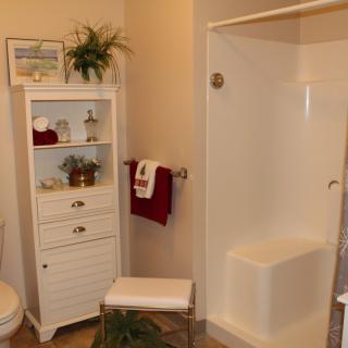 A neatly organized bathroom featuring a shower, white cabinet, and decorative accents.