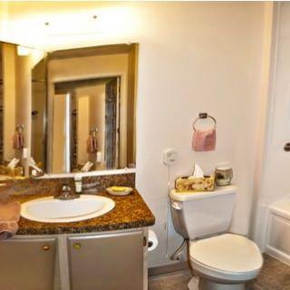 A well-lit bathroom with a sink, mirror, and toilet featuring elegant decor.