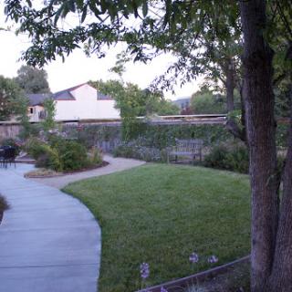 A serene view of a backyard garden featuring a winding pathway, lush grass, and surrounding trees.