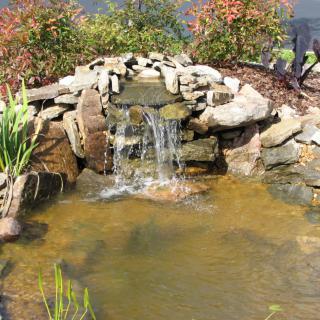 A small garden pond with a waterfall cascading over rocks.