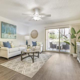 A modern living room with stylish furniture and decor, featuring a cozy sofa, coffee table, artwork, and a large plant near sliding glass doors.
