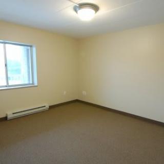 An empty room with beige walls, a carpeted floor, and a window letting in natural light.